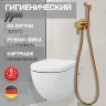 Смеситель встраиваемый с гигиеническим душем Hansberge H3099 Золото глянец